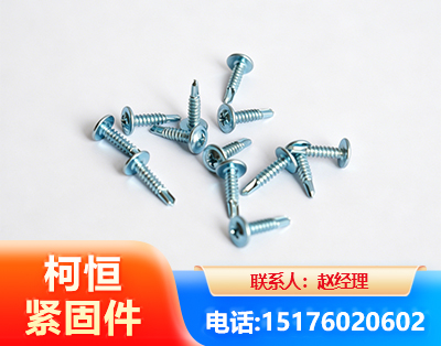 长治华司钻尾丝