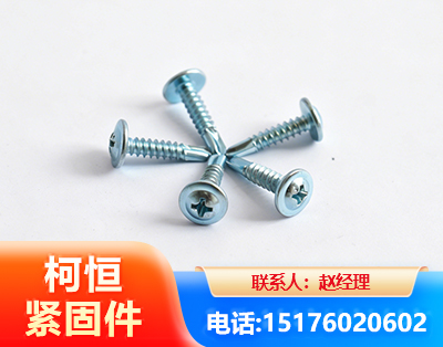 长治华司钻尾丝